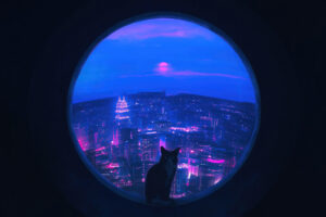 cat blue portal 4k wy.jpg