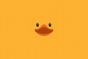 duck minimal 5k dc.jpg