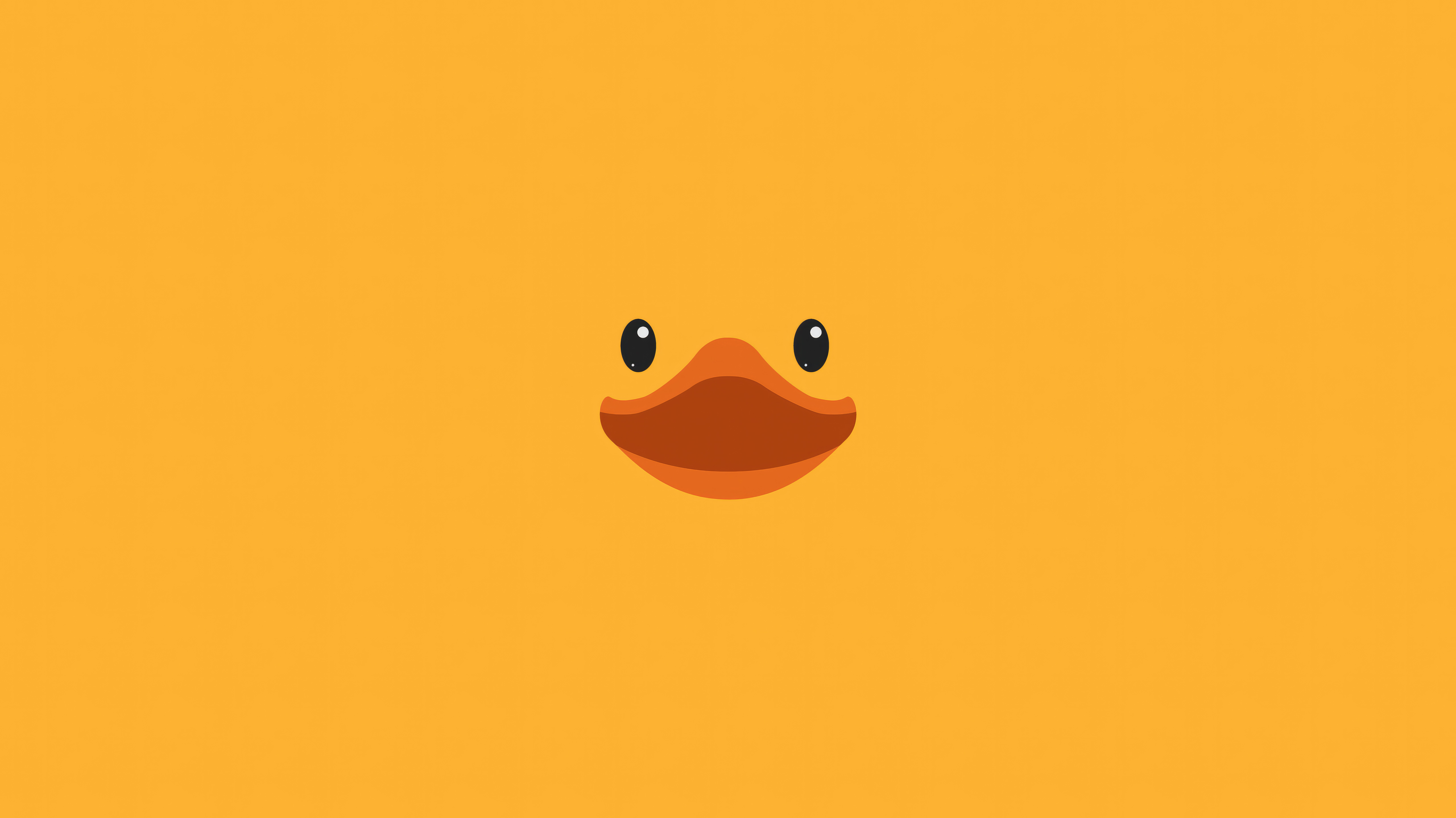 duck minimal 5k dc.jpg