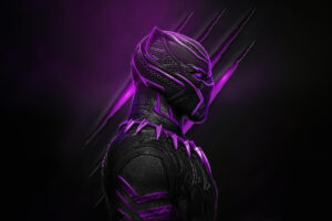 the king of wakanda black panther q4.jpg