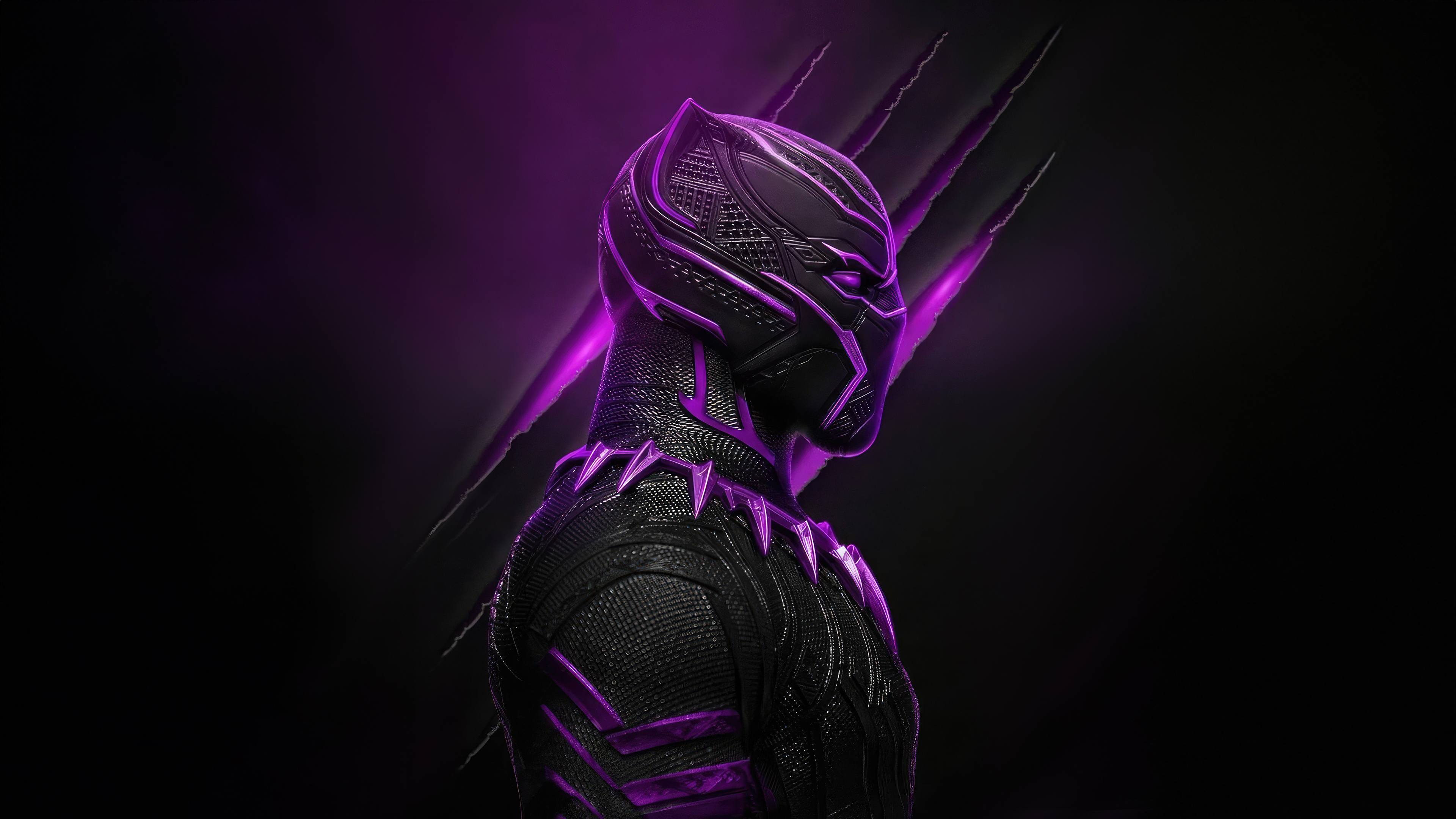 the king of wakanda black panther q4.jpg