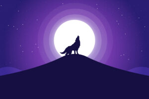 wolf silhouette illustration 5k 0f.jpg