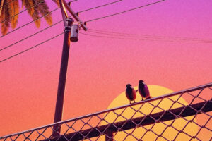 birds chillwave mu.jpg