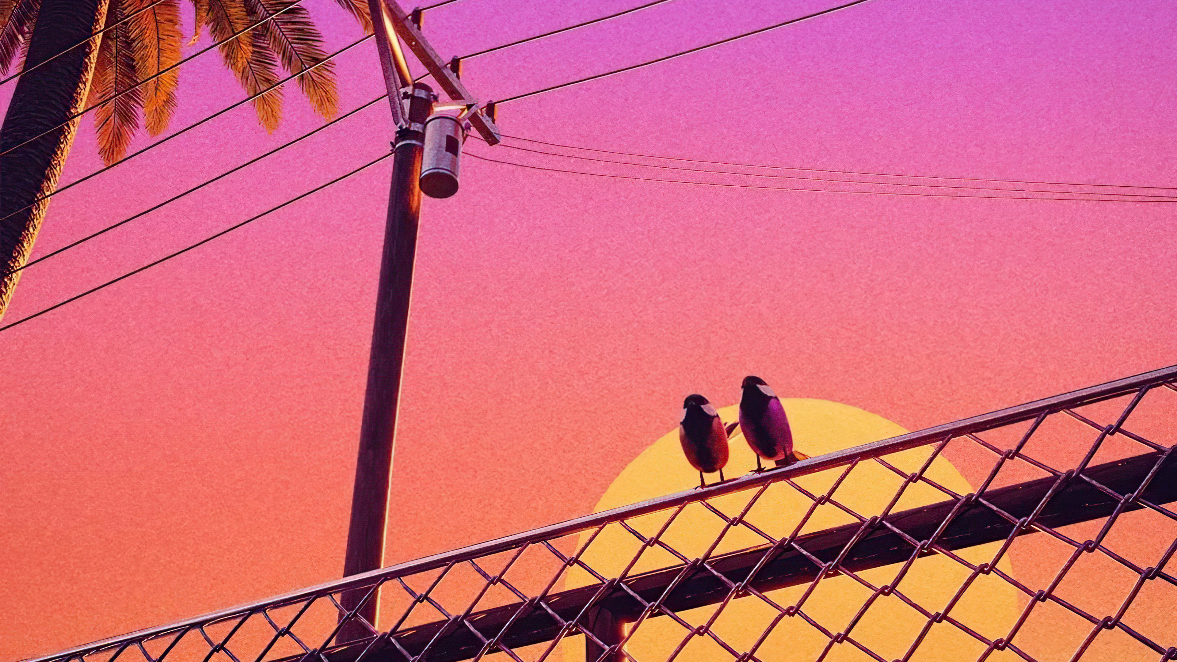 birds chillwave mu.jpg