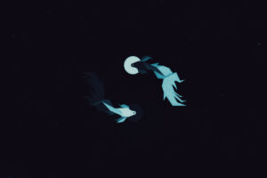 fish dark minimal 7u.jpg