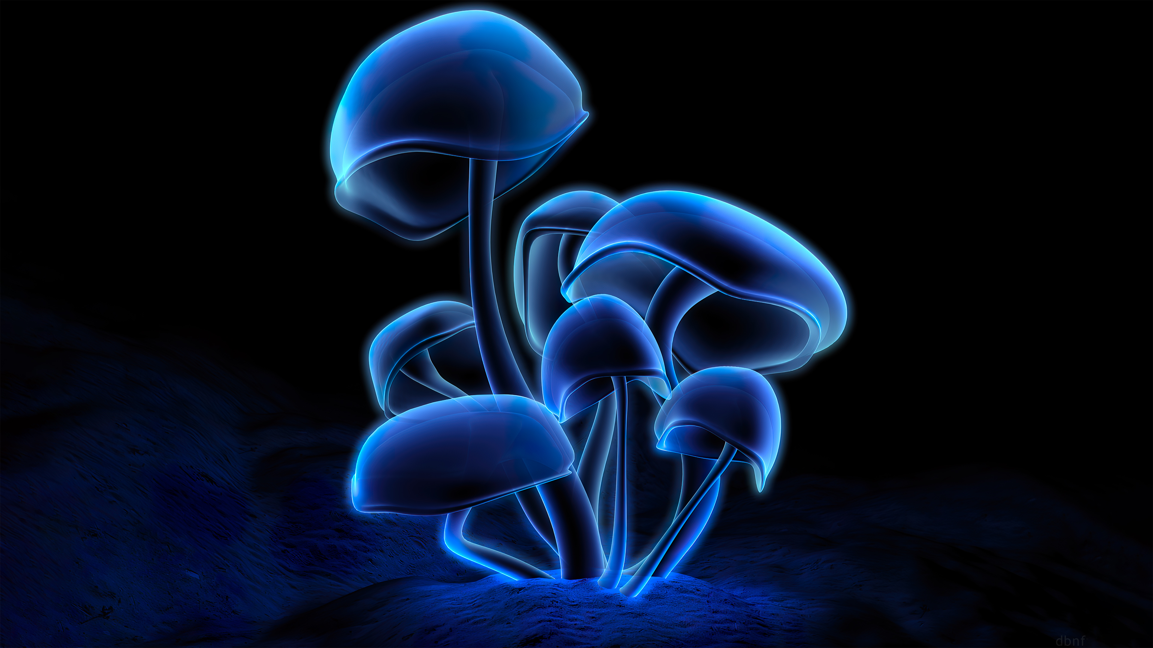 fluorescence plants dark 4k 5a.jpg