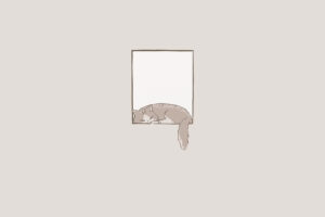 minimalist cat window sleeping 4k tl.jpg