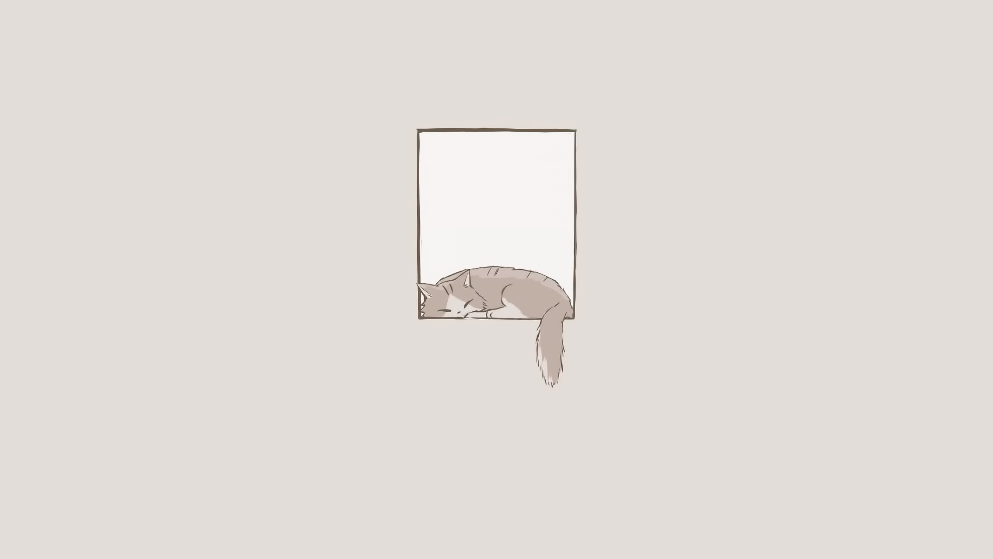 minimalist cat window sleeping 4k tl.jpg