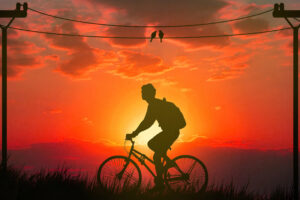 morning bicycle ride 4k b3.jpg