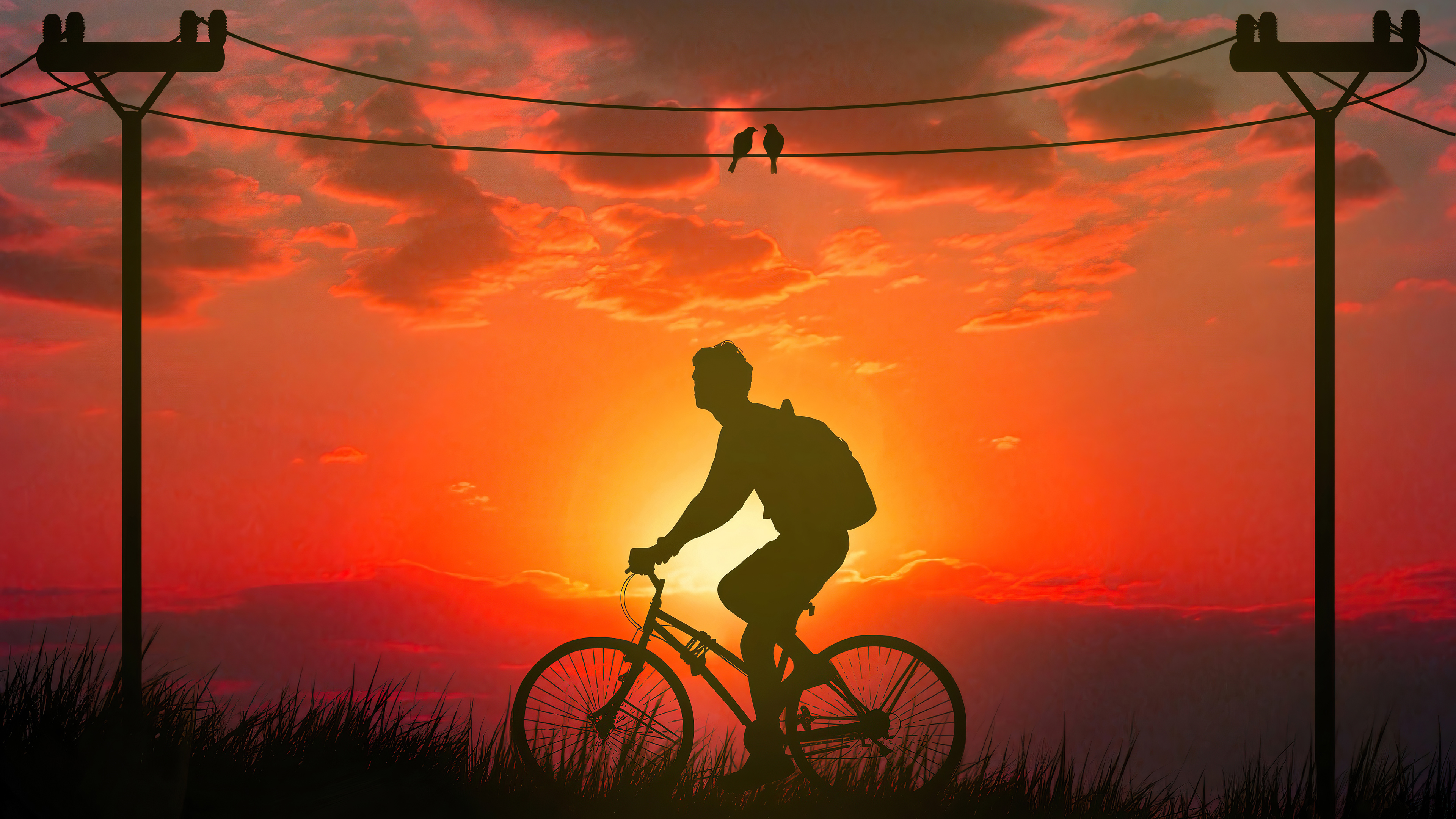 morning bicycle ride 4k b3.jpg