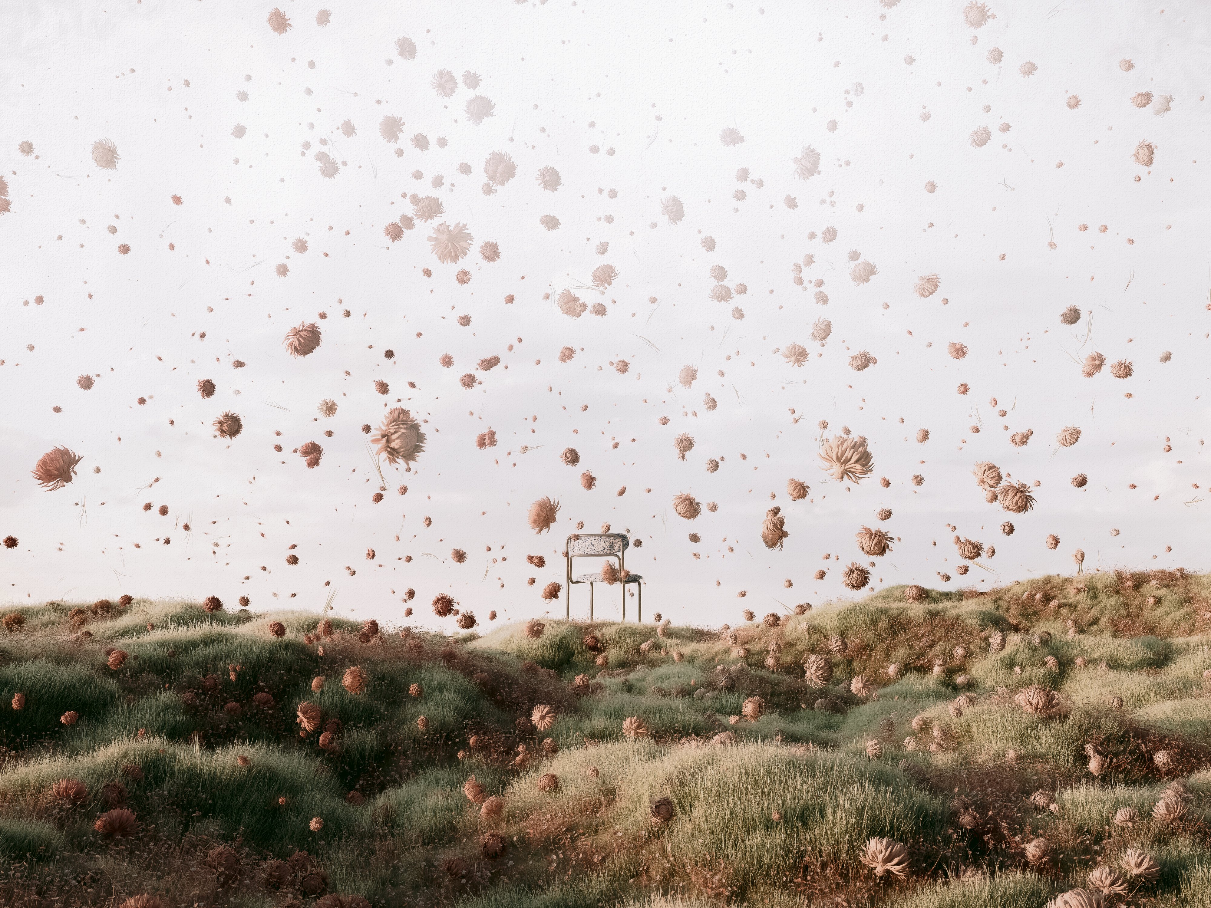 rain of flowers on.jpg