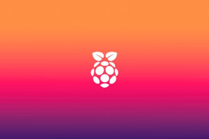 raspberry pi logo minimal 5k 3h.jpg