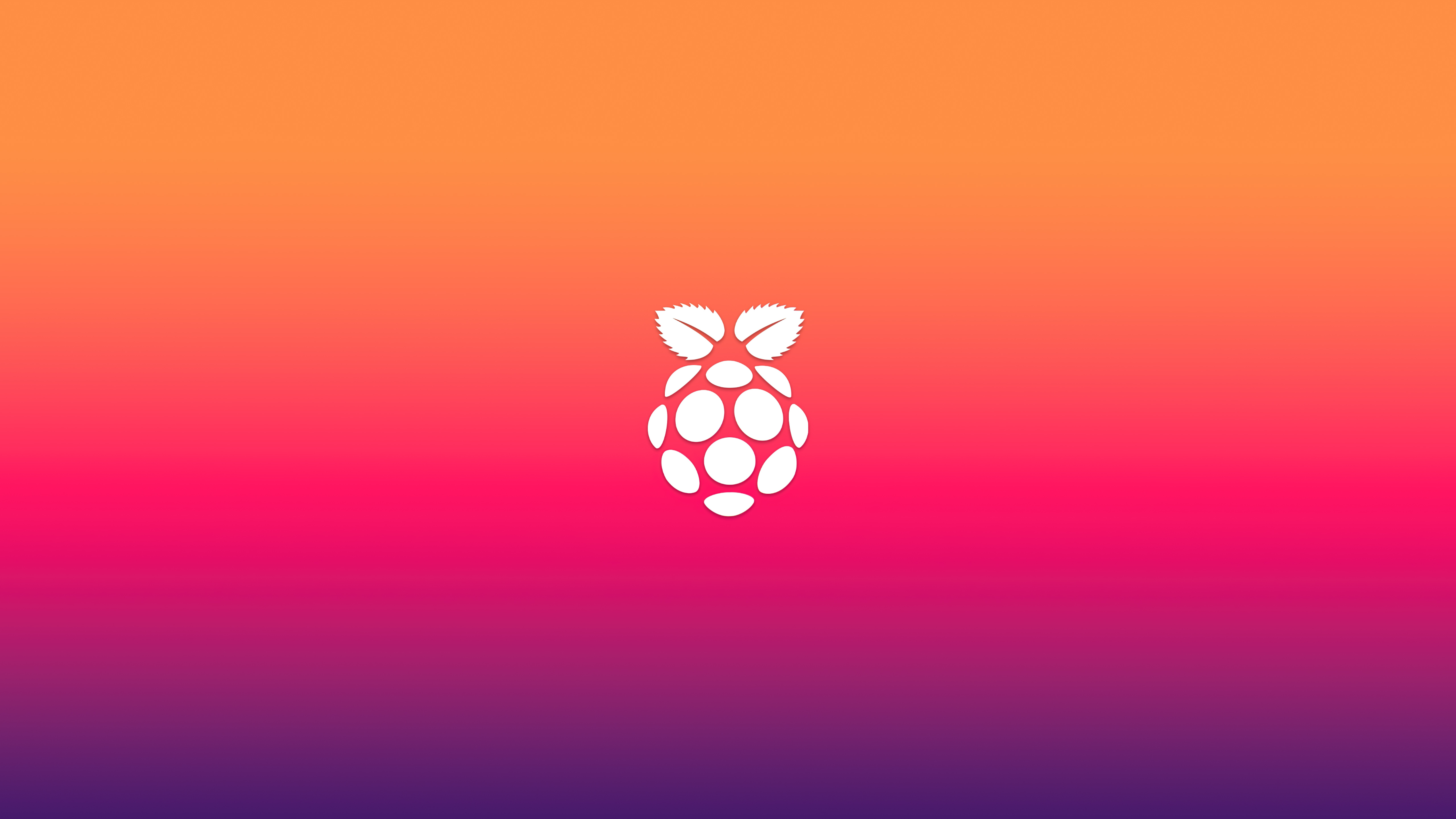 raspberry pi logo minimal 5k 3h.jpg