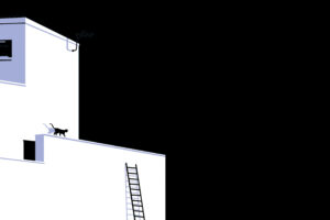 cat rooftop minimal dark 5k ss.jpg