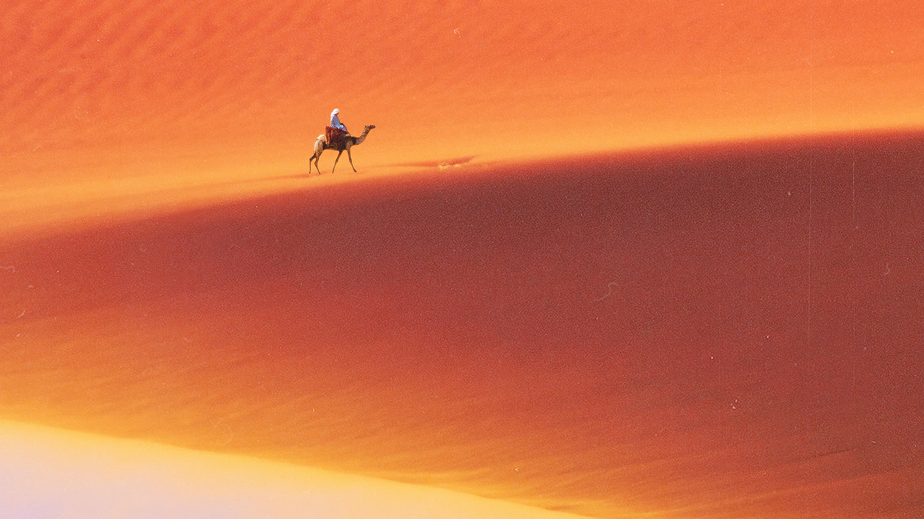 desert man camel safari 64.jpg