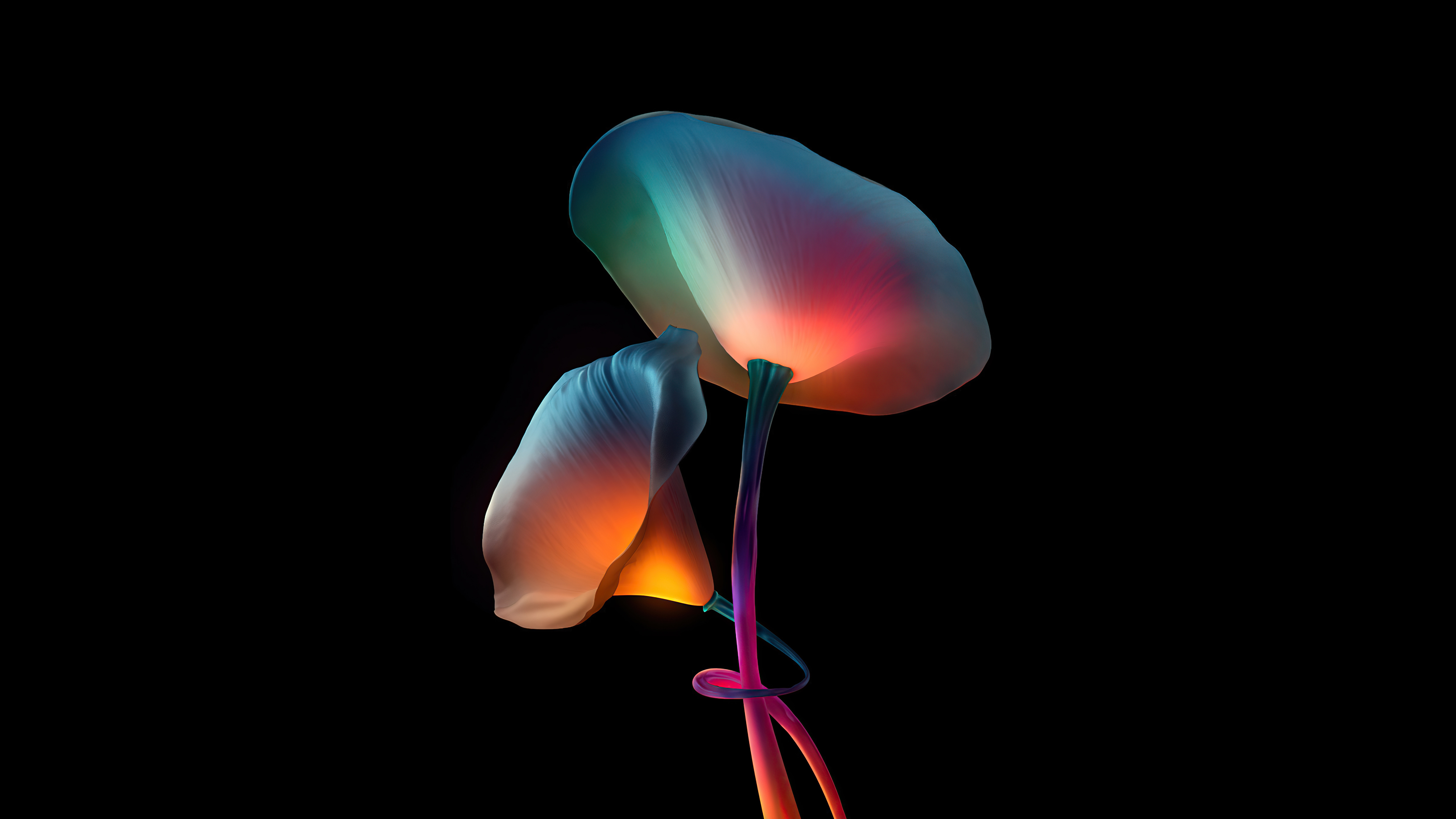 flowers oled 82.jpg