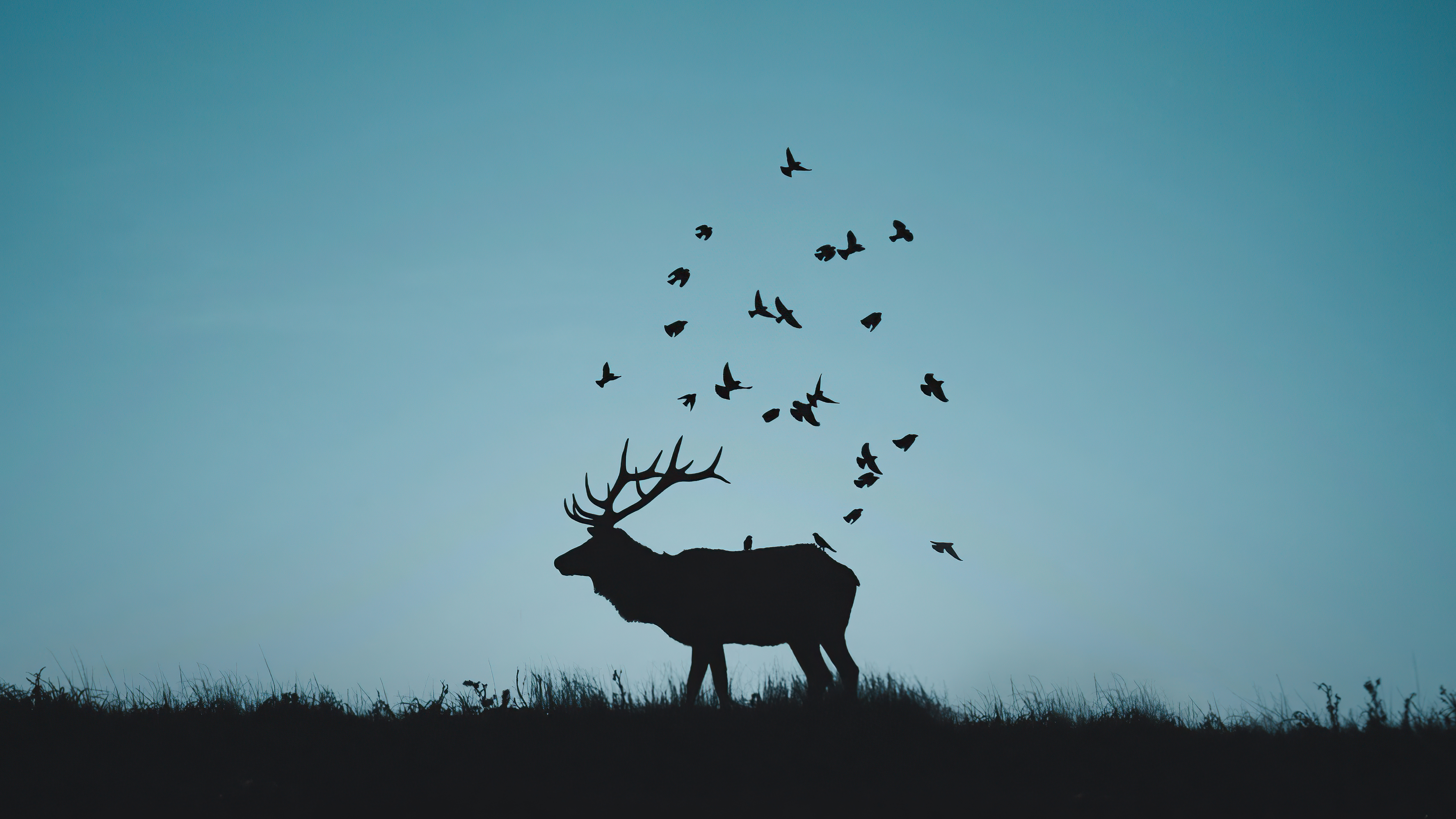 reindeer minimal silhouette r4.jpg