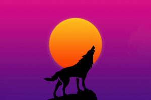 retro fox howling 5k 03.jpg