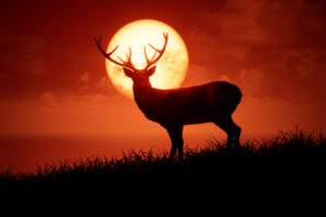 unreal deer morning 4k 5m.jpg