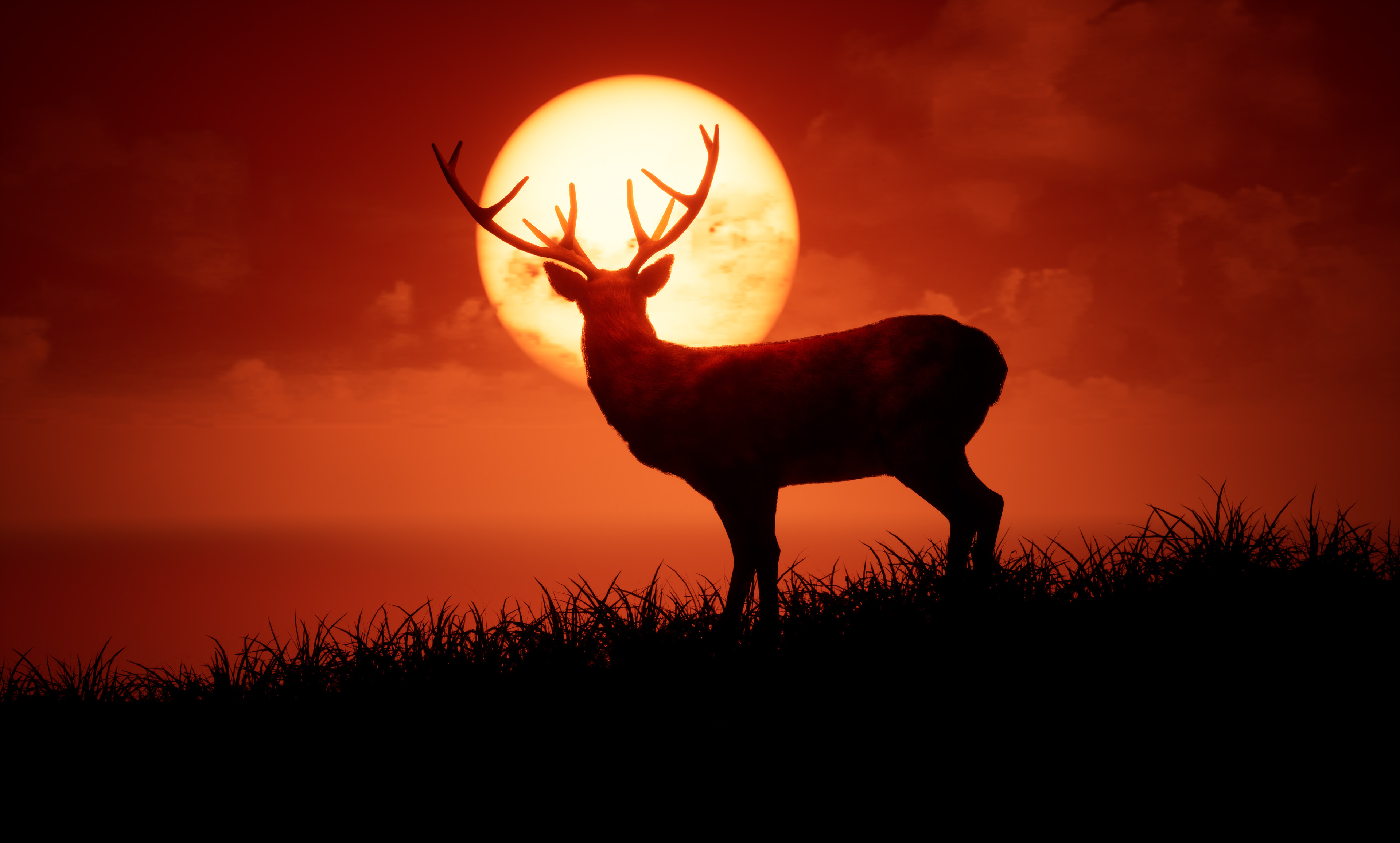 unreal deer morning 4k 5m.jpg