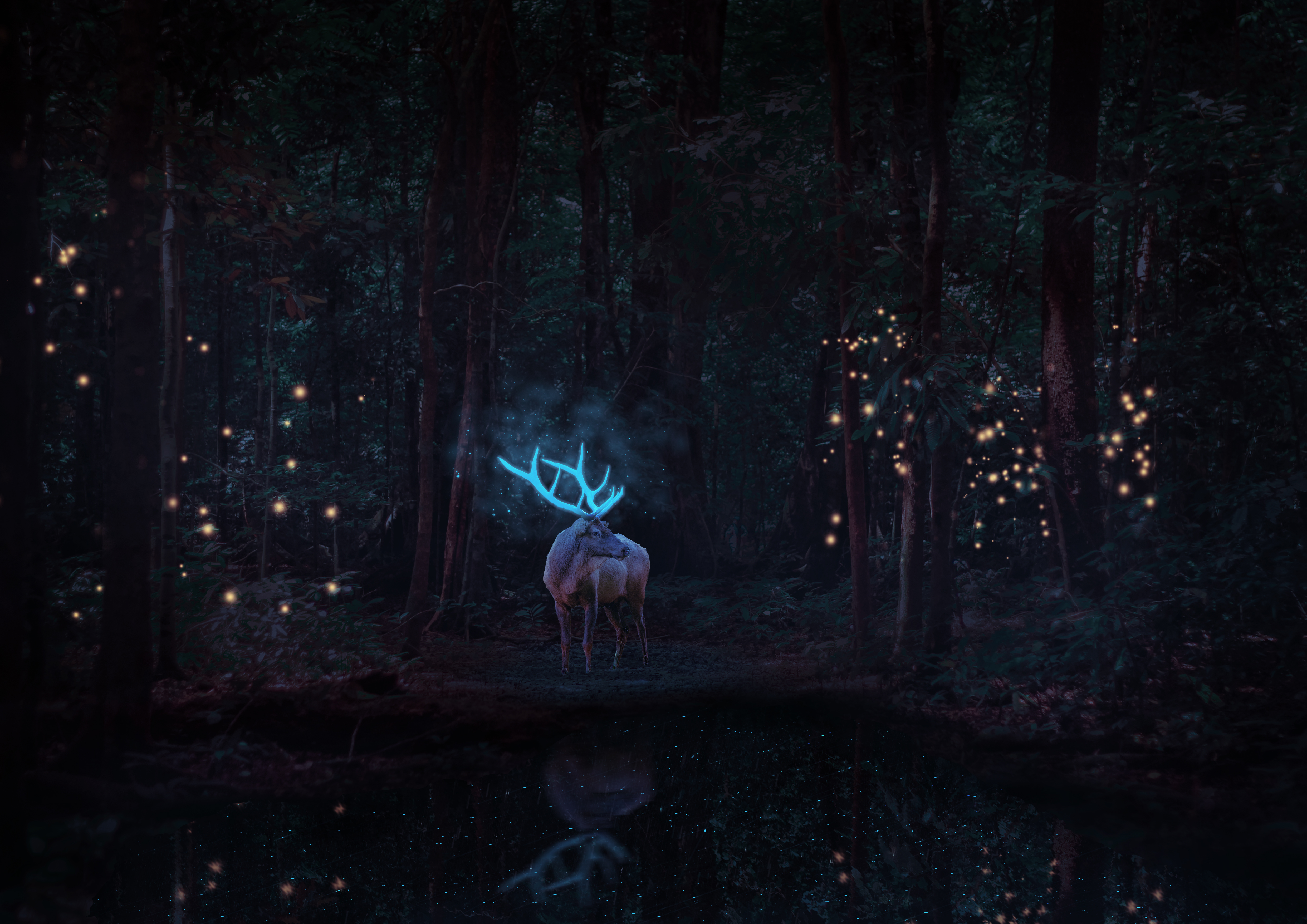 magical reindeer in forest 1b.jpg