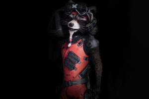 the rocket raccoon guardians of the galaxy 5k 1d.jpg