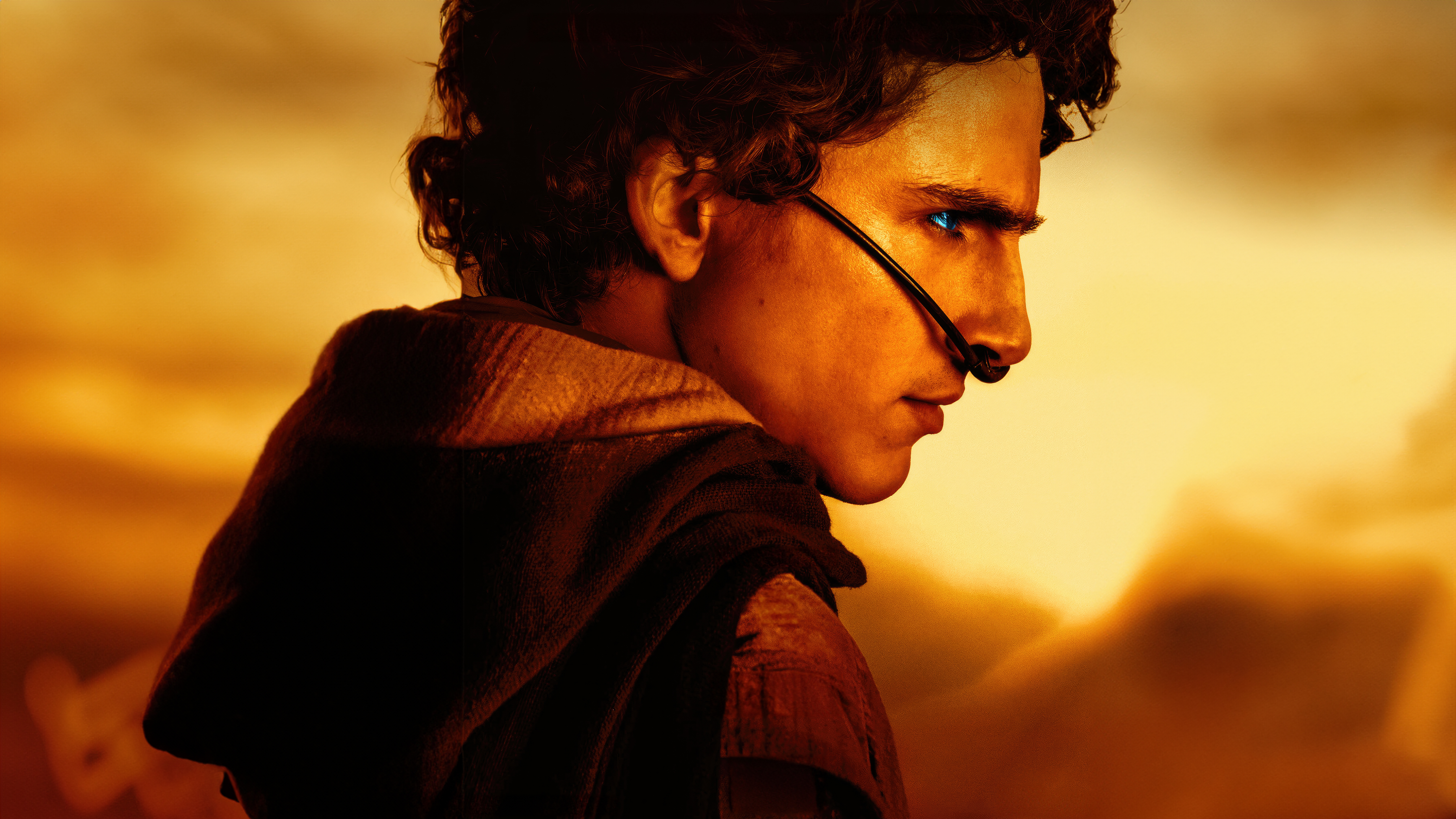 timothee chalamet as paul atreides in dune 2 ud.jpg