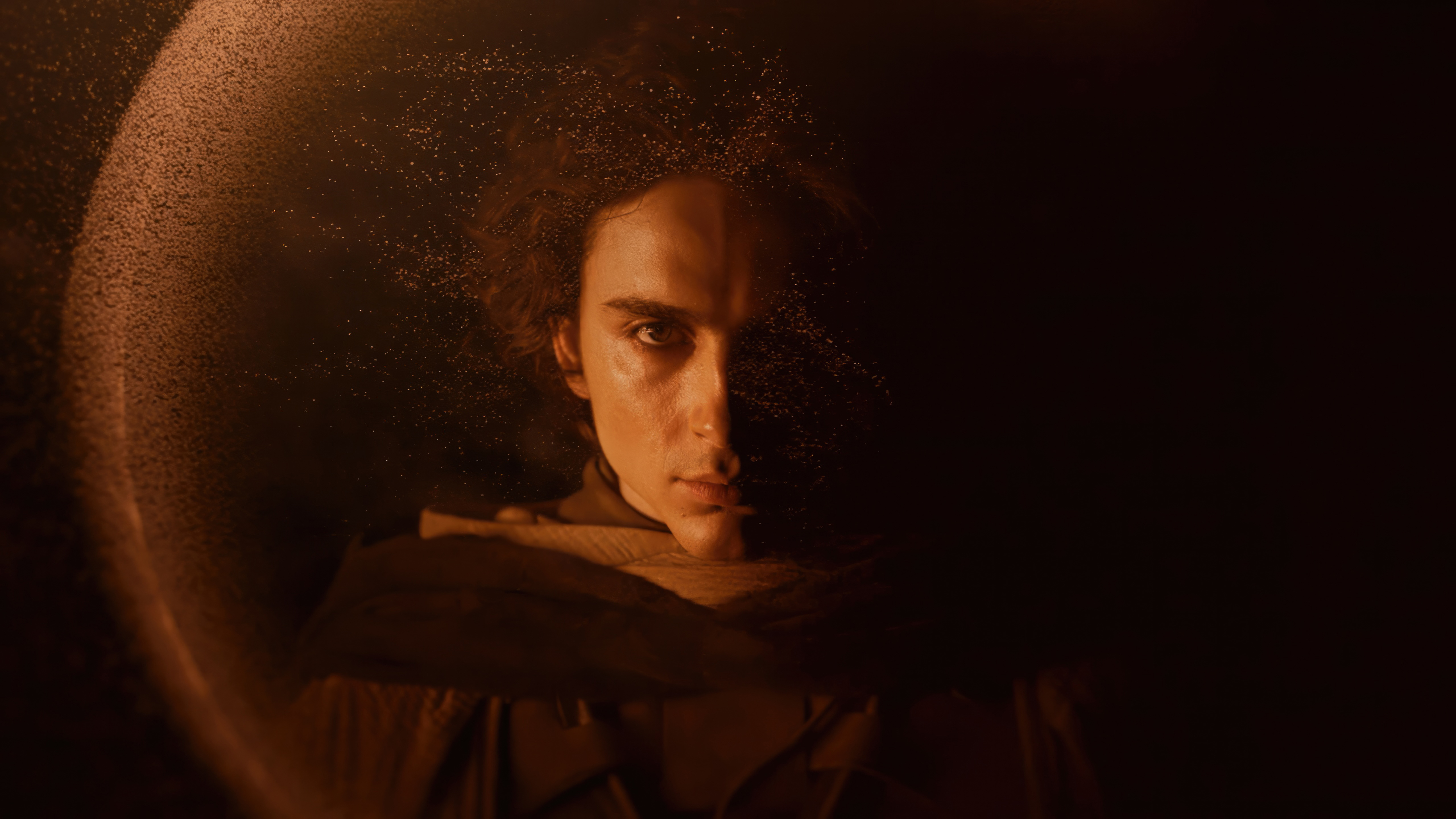 timothee chalamet in dune 2 qf.jpg